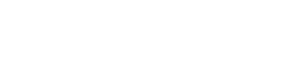 Protecom Ltda